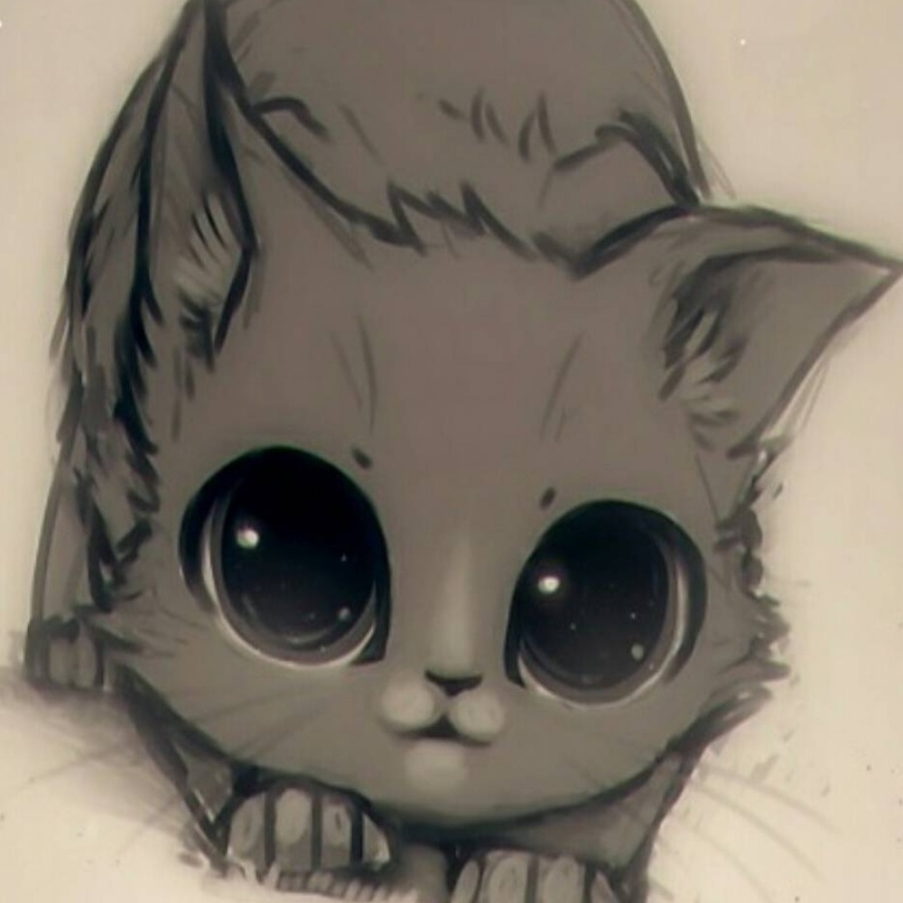 Meet your Posher, Elisia